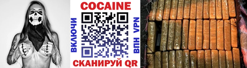 COCAIN Fish Scale  сколько стоит  Дигора 