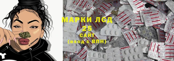 гидра Володарск