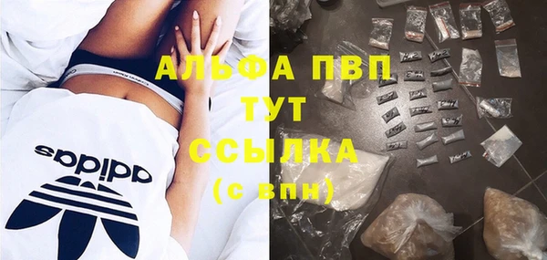 гидра Володарск