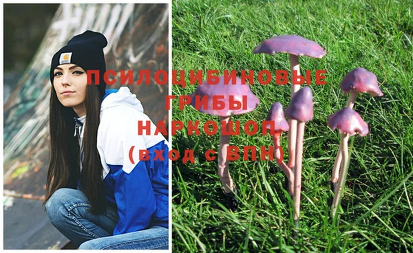 не бодяженный Гусев