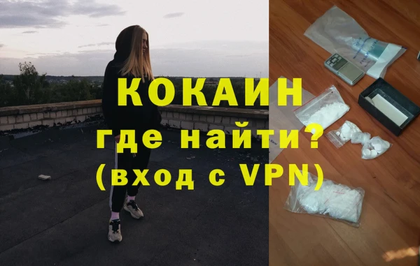 ешки Вяземский