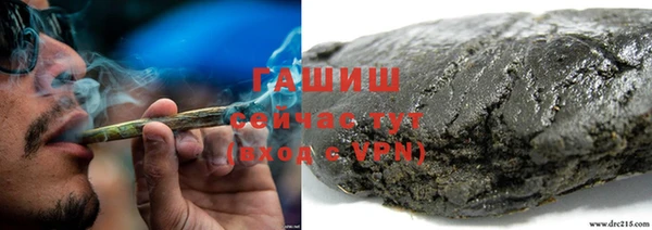 ешки Вяземский