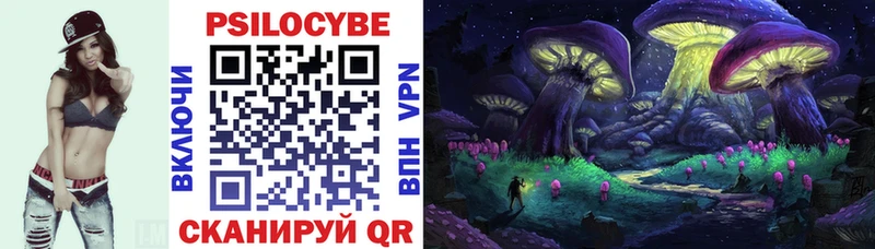 наркошоп  Дигора  Псилоцибиновые грибы Cubensis 