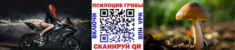 Галлюциногенные грибы прущие грибы Дигора